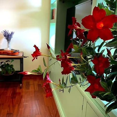 Appartamento Casa Di Giulia Bologna